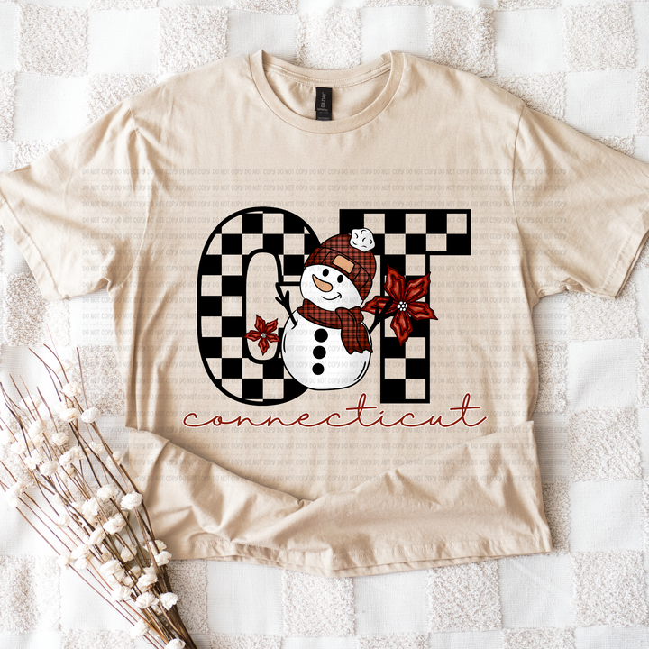 Snowman States DTF Print