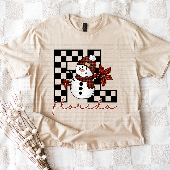 Snowman States DTF Print