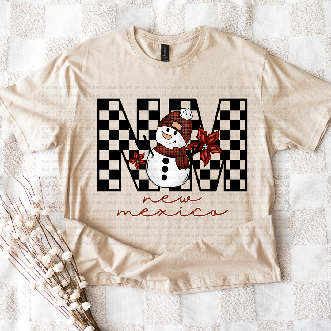 Snowman States DTF Print