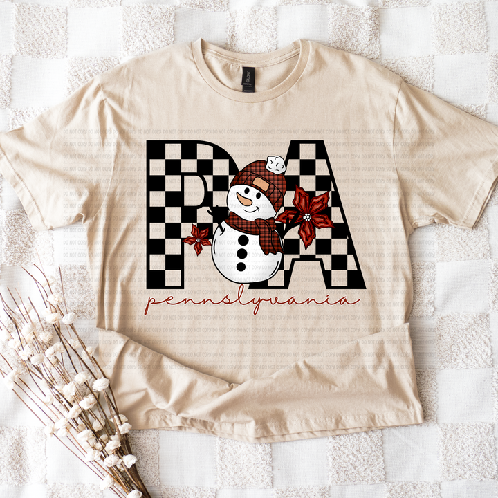 Snowman States DTF Print