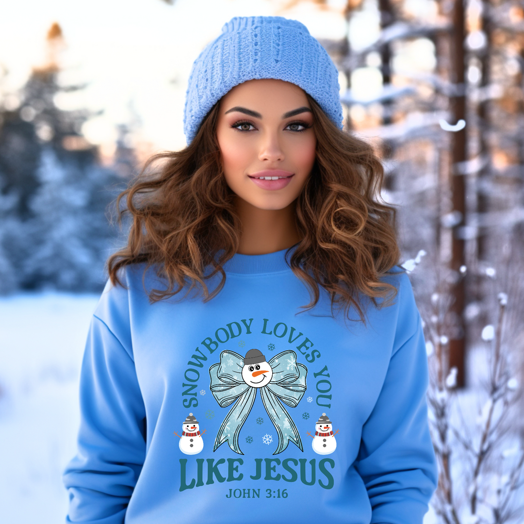 Snowbody Loves You Like Jesus DTF Print