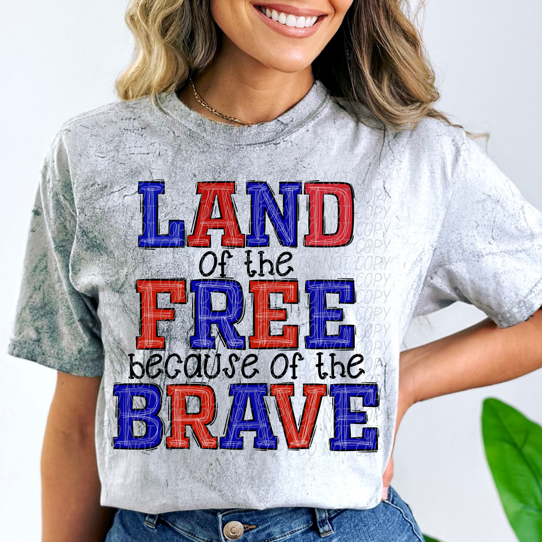Land of the Free Because of the Brave DTF Print