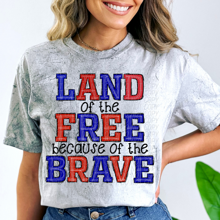 Land of the Free Because of the Brave DTF Print