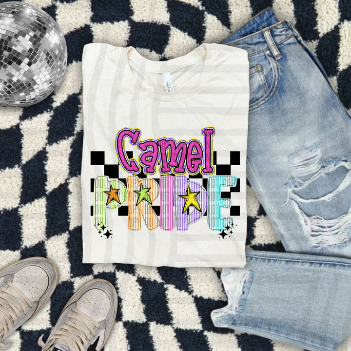 Seersucker Pride DTF Print