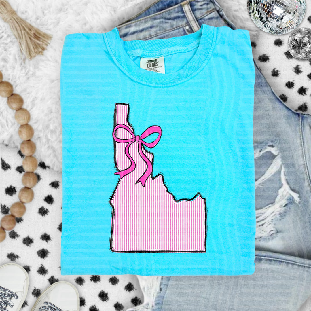 Seersucker States With Bow DTF Print