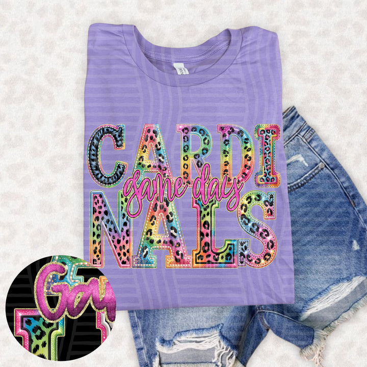 Rainbow Mitchymatchy DTF Print