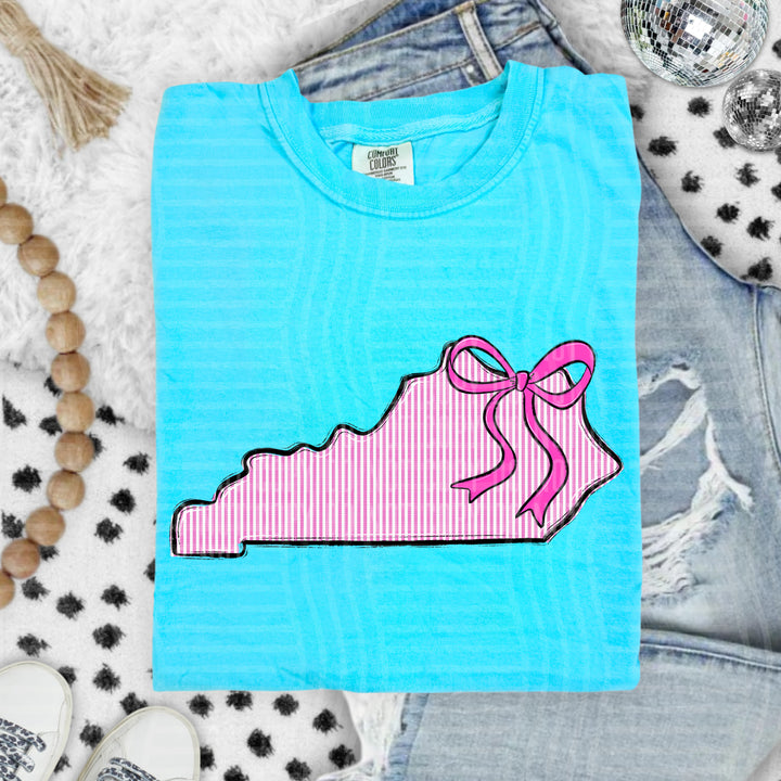Seersucker States With Bow DTF Print