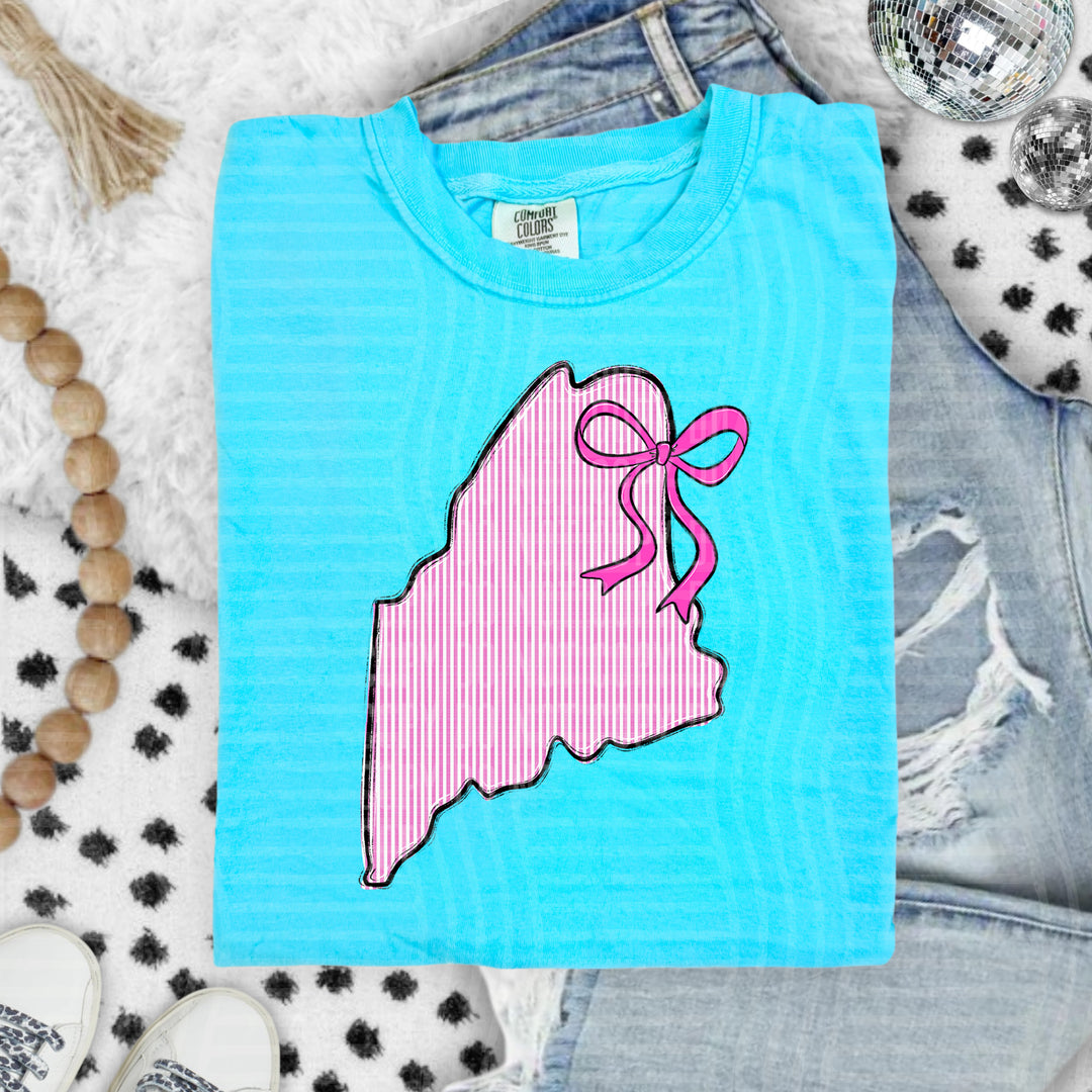 Seersucker States With Bow DTF Print