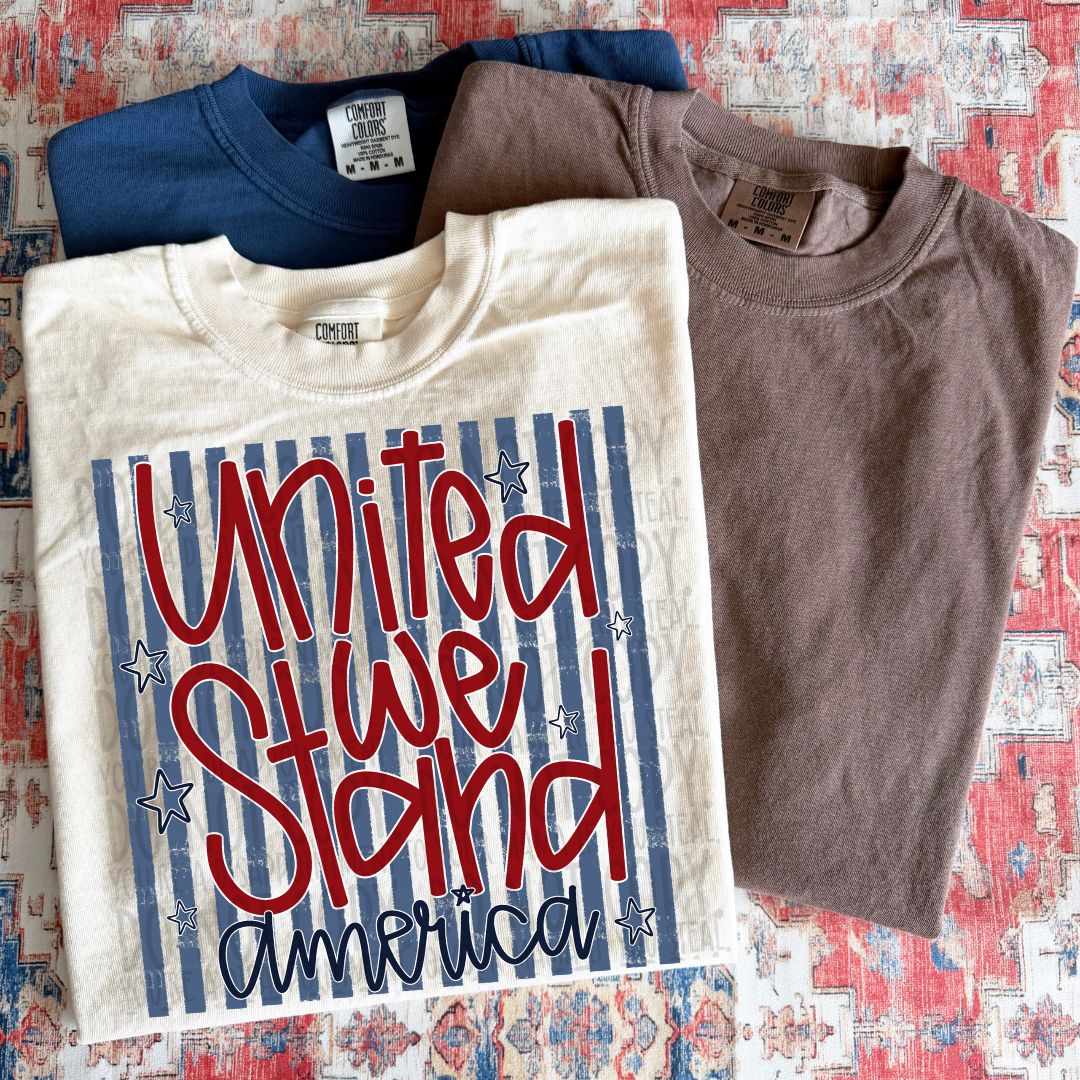 United We Stand America DTF Print