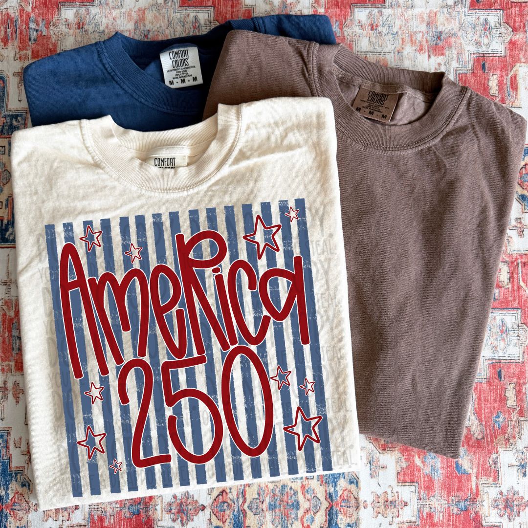 America 250 Blue Red DTF Print