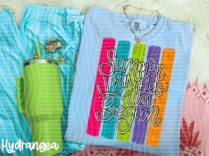 Summer Fun Has Just Begun DTF Print