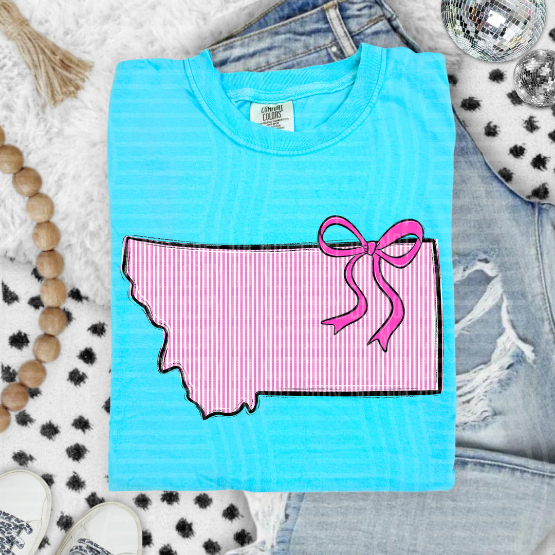 Seersucker States With Bow DTF Print