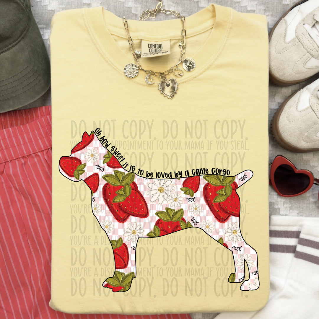 How Sweet Dog DTF Print