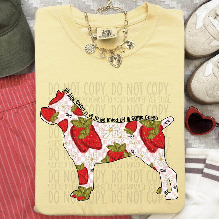 How Sweet Dog DTF Print