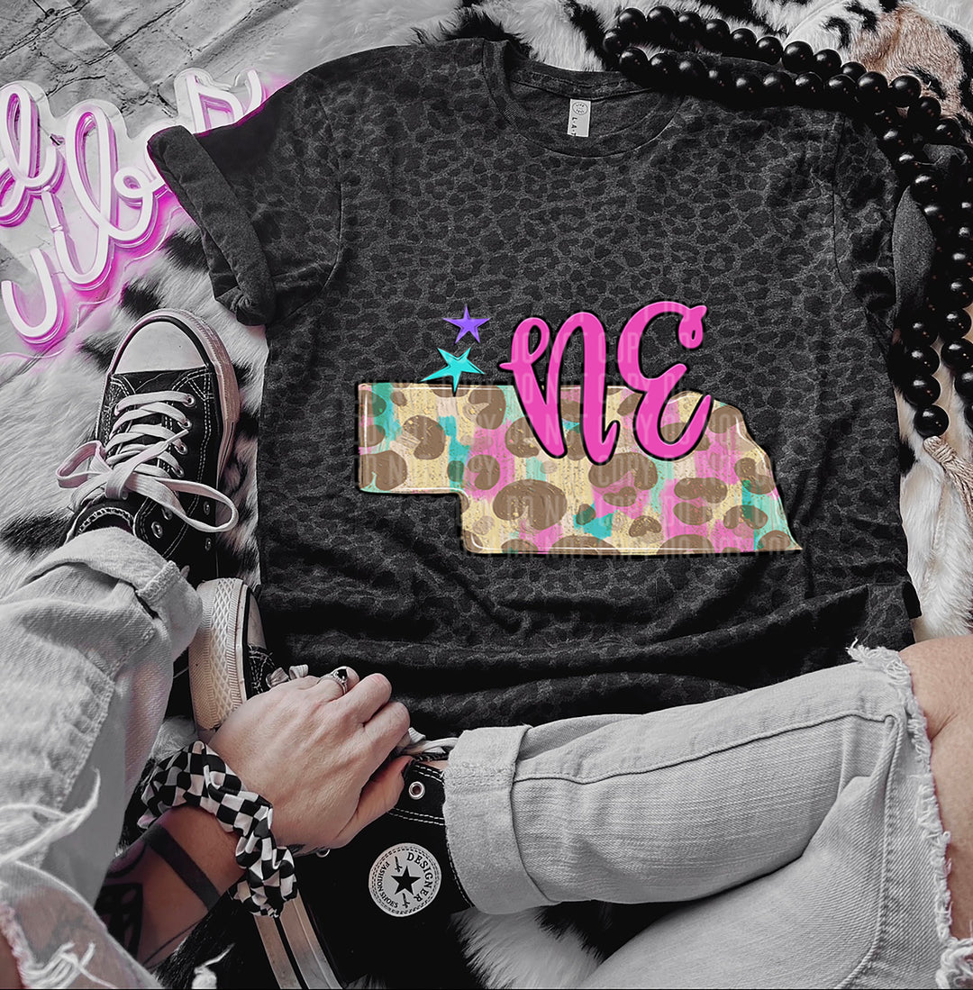 Preppy Bright States DTF Print