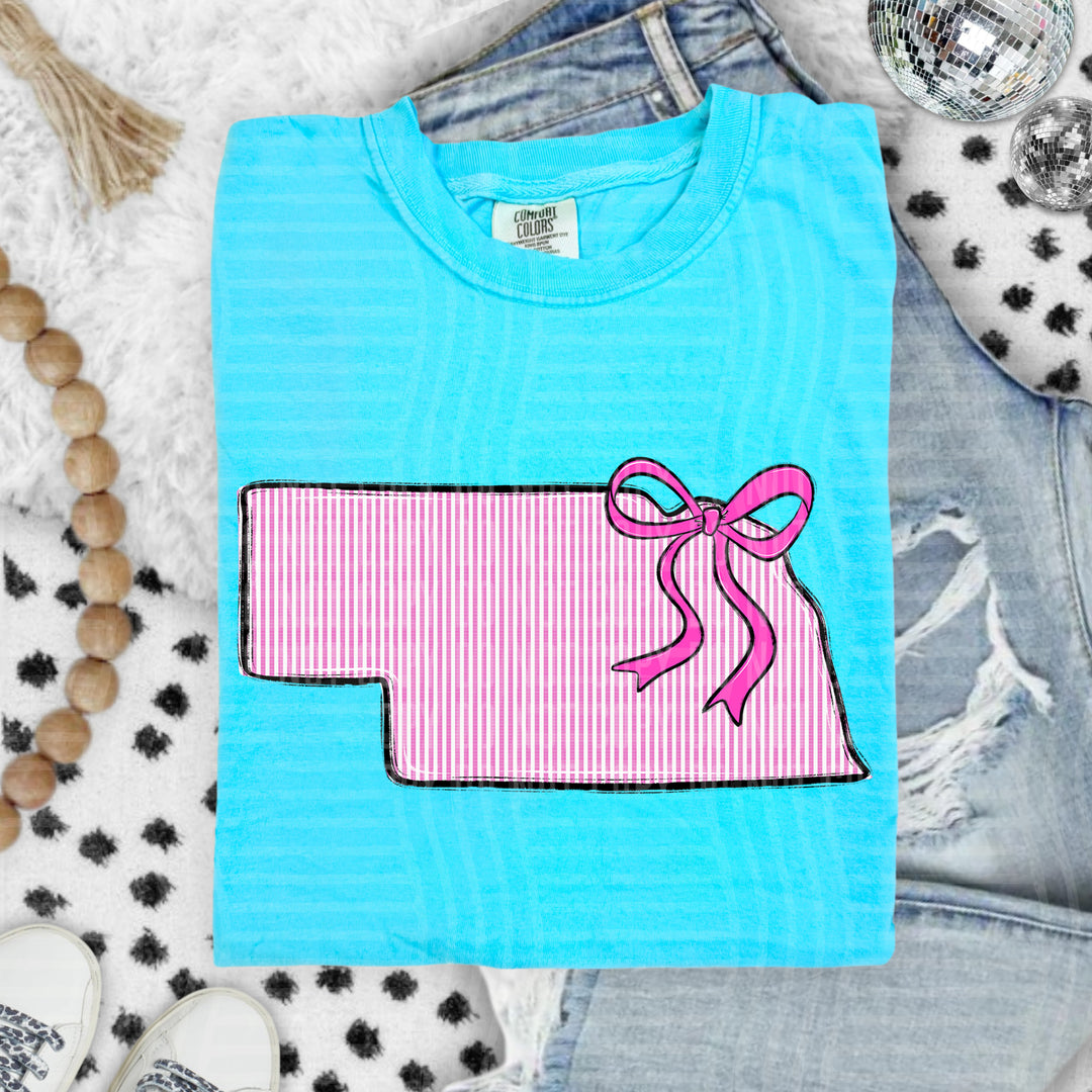 Seersucker States With Bow DTF Print