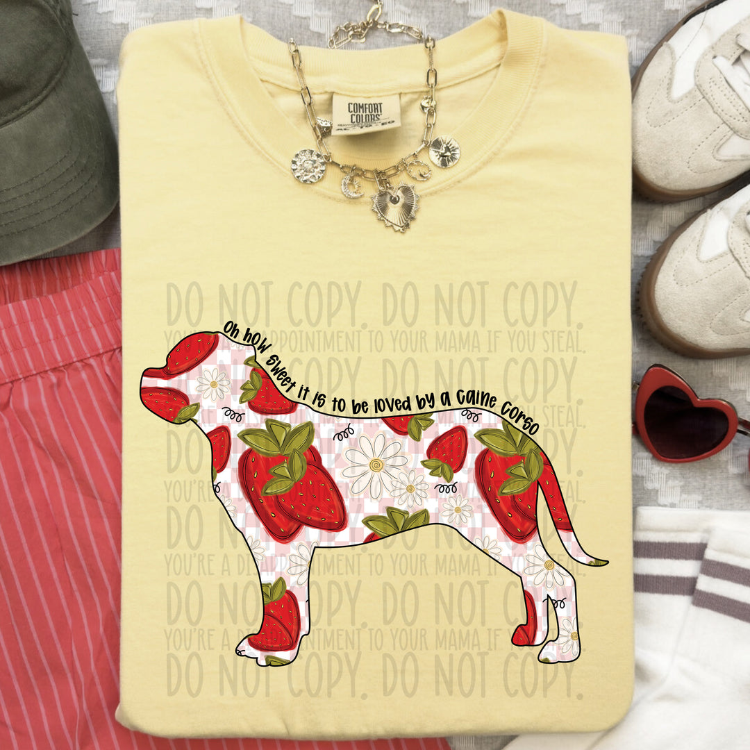 How Sweet Dog DTF Print