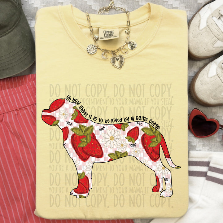 How Sweet Dog DTF Print