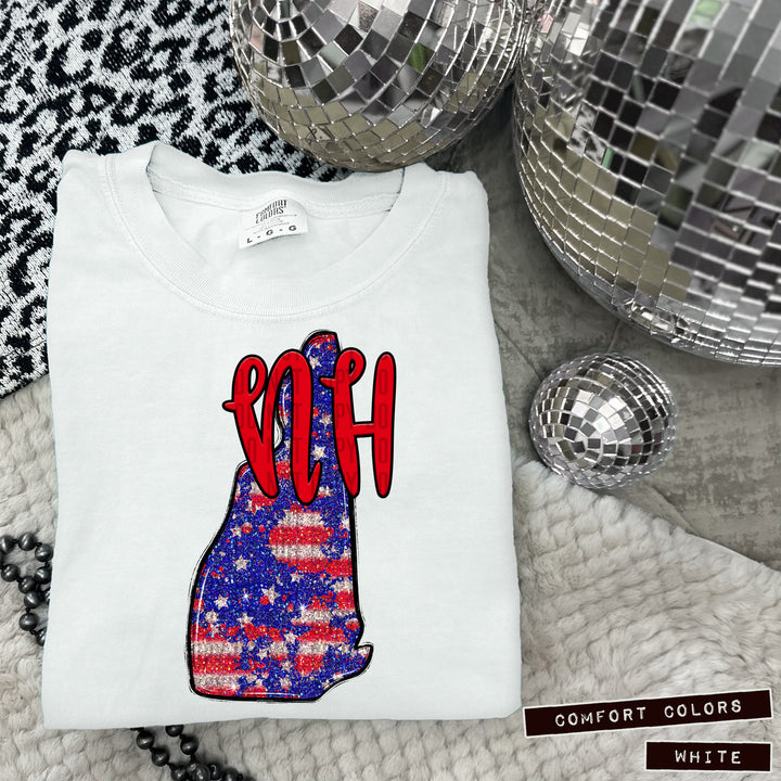 RWB States DTF Print