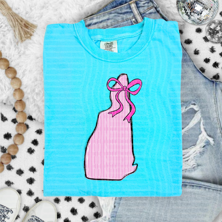 Seersucker States With Bow DTF Print