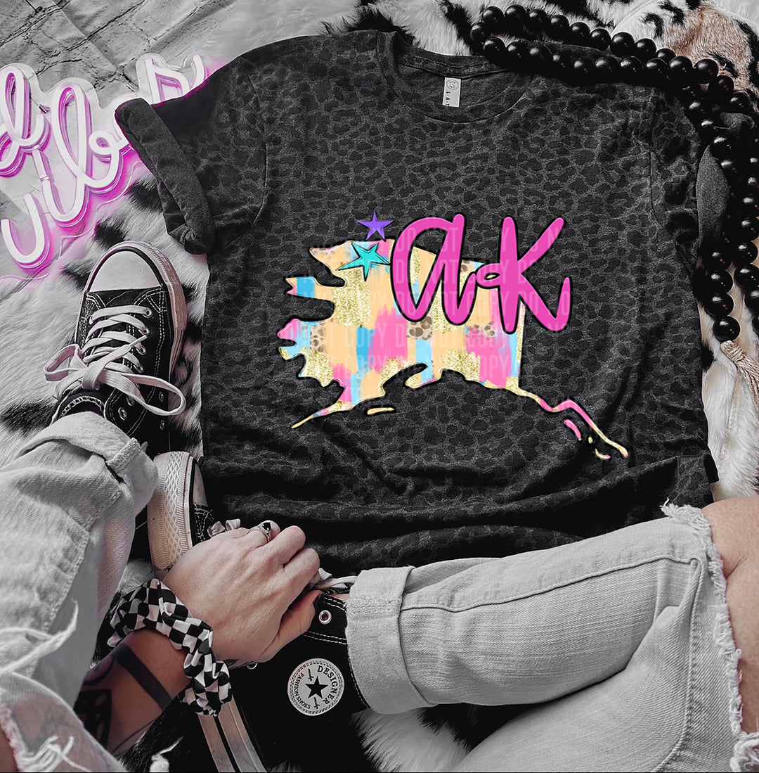 Preppy Bright Brushstroke States DTF Print