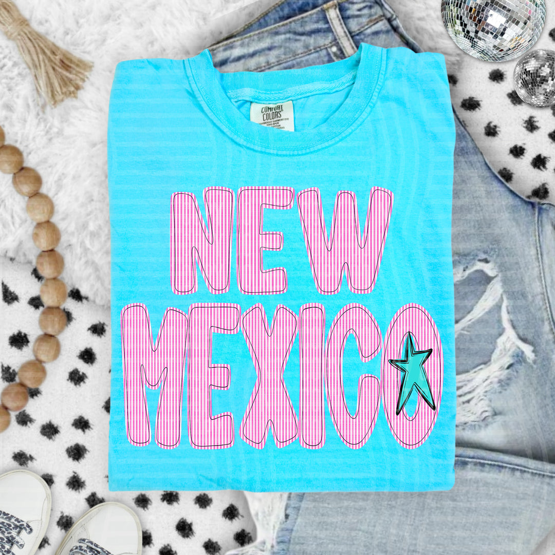 Seersucker States DTF Print