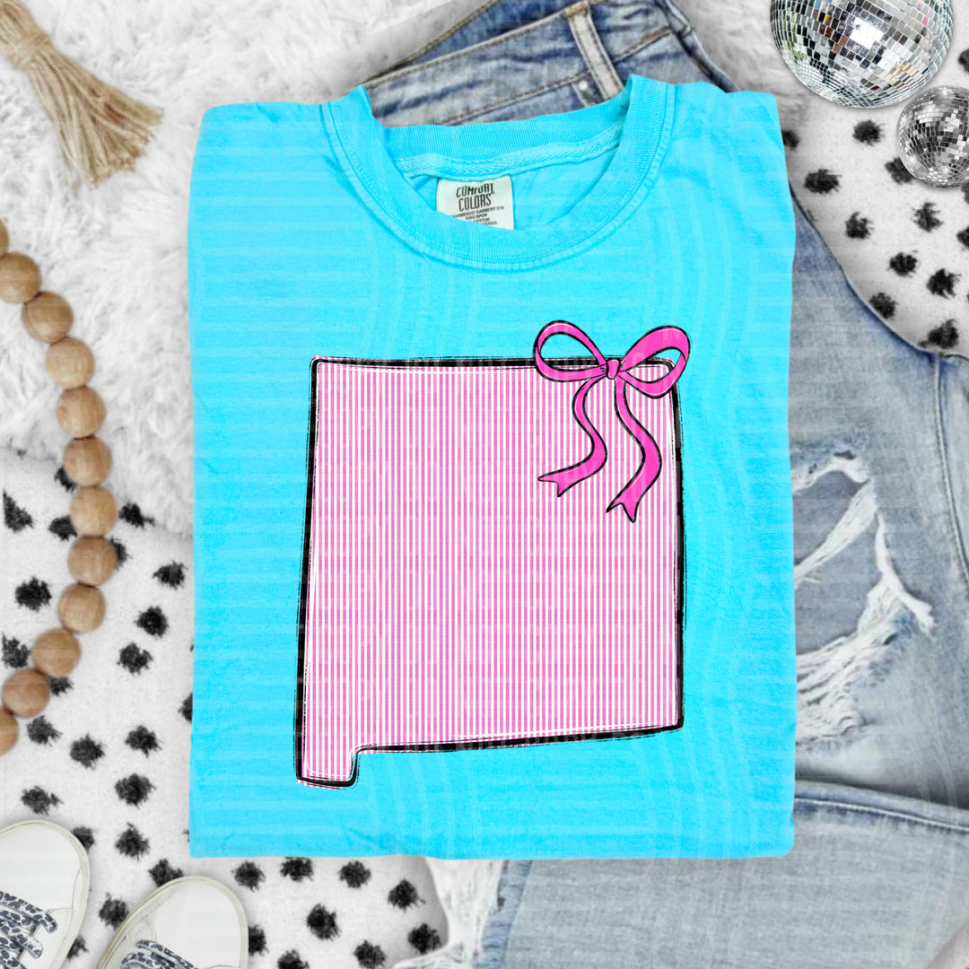 Seersucker States With Bow DTF Print