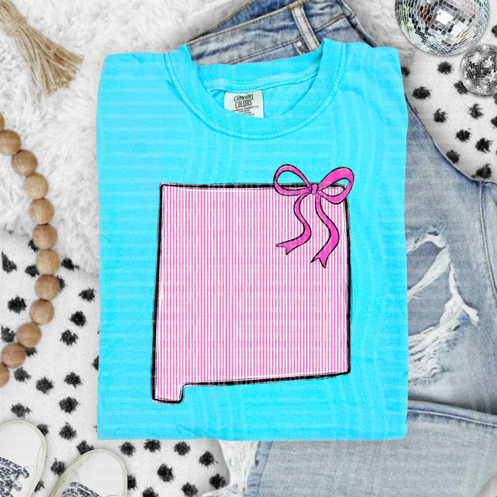 Seersucker States With Bow DTF Print