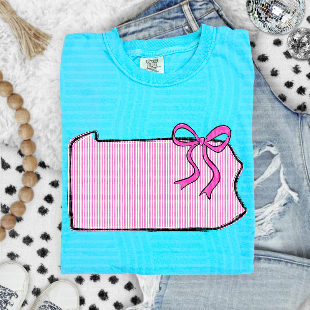 Seersucker States With Bow DTF Print