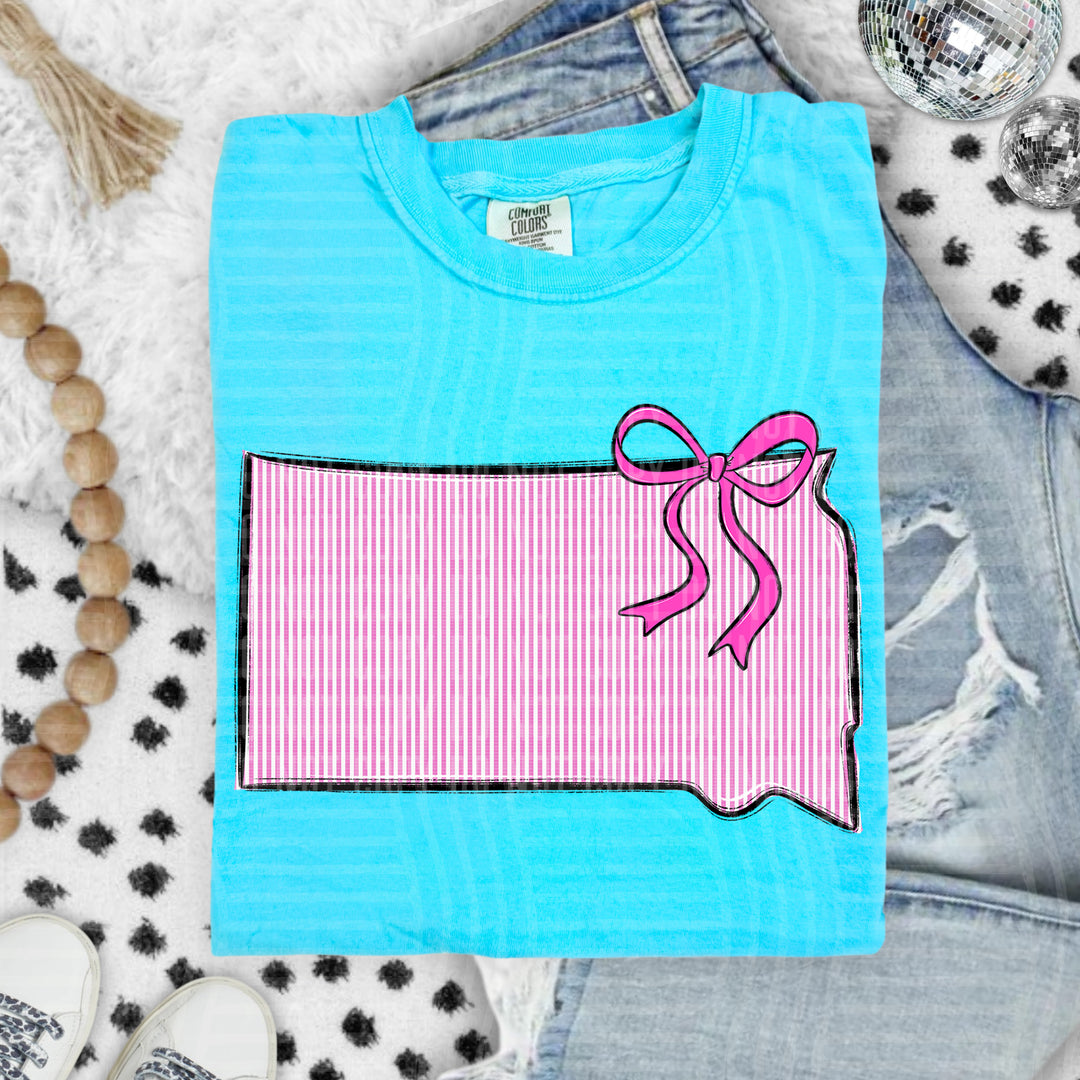 Seersucker States With Bow DTF Print