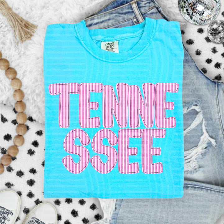 Seersucker States DTF Print