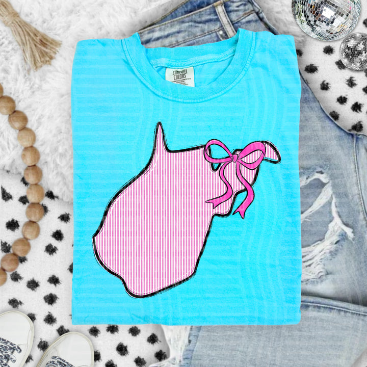 Seersucker States With Bow DTF Print