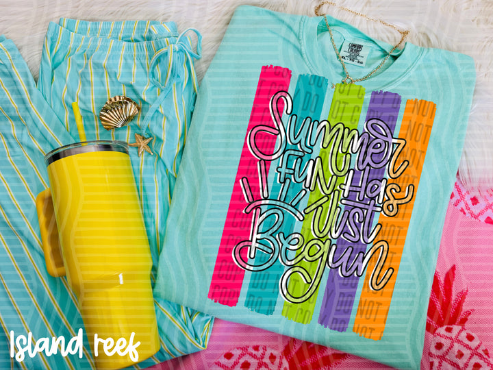Summer Fun Has Just Begun DTF Print