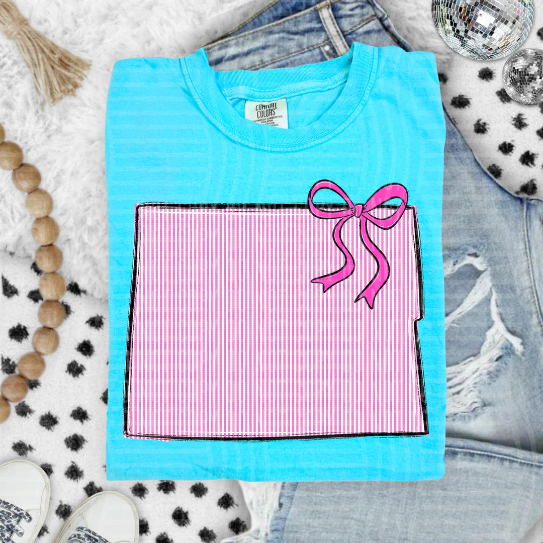 Seersucker States With Bow DTF Print