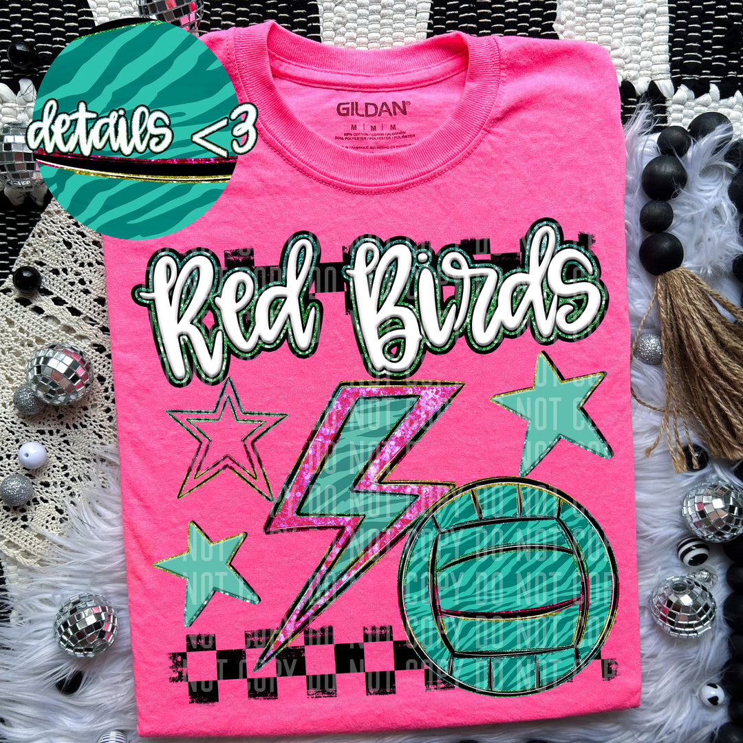 Rainbow Volleyball Bolts DTF Print