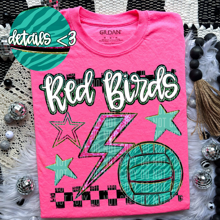 Rainbow Volleyball Bolts DTF Print