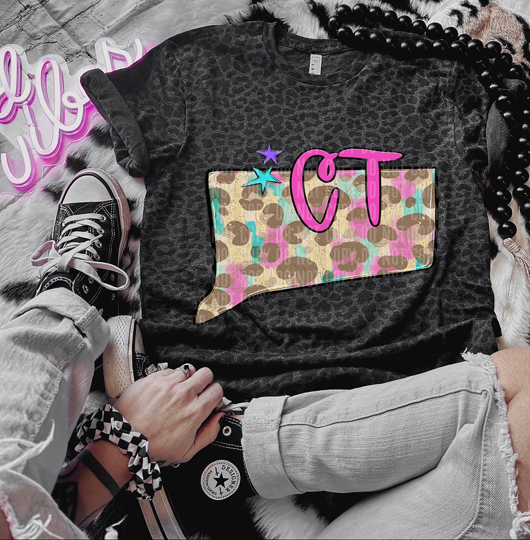 Preppy Bright States DTF Print