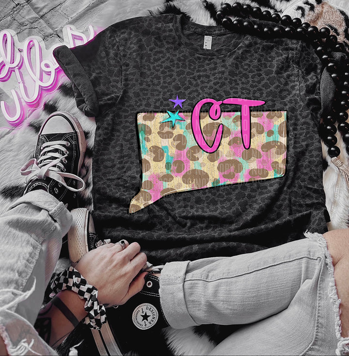 Preppy Bright States DTF Print