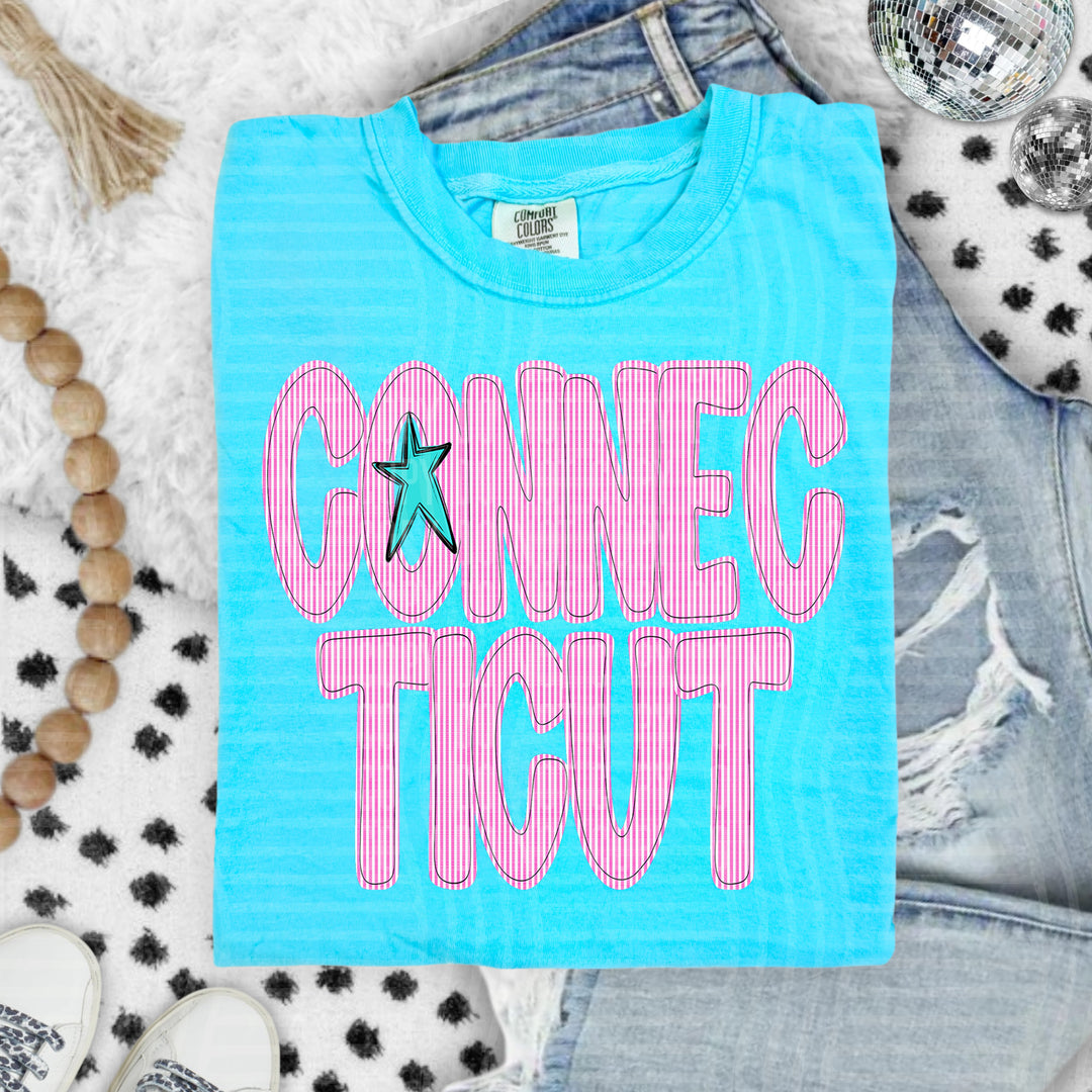 Seersucker States DTF Print