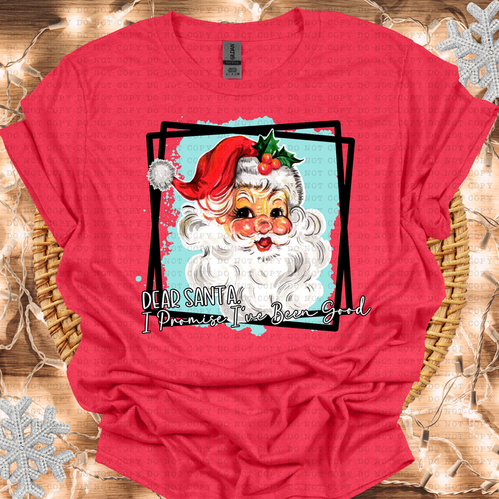 Dear Santa I Promise I've Been Good DTF Print