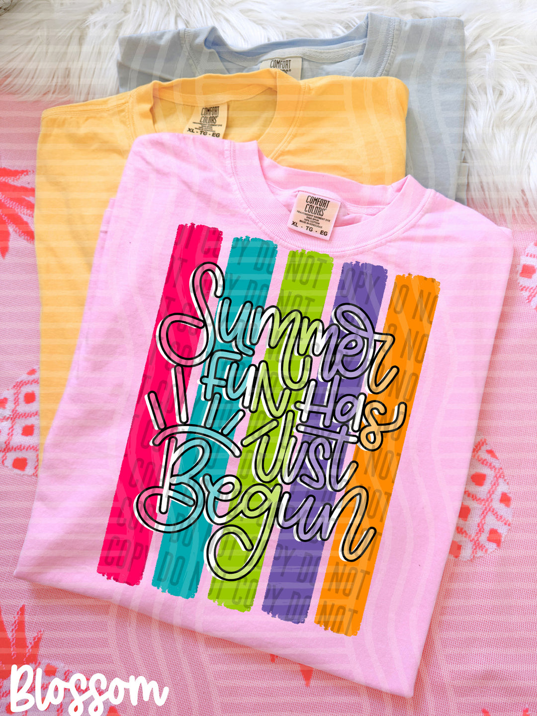 Summer Fun Has Just Begun DTF Print