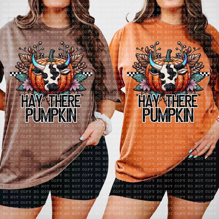 Hay There Pumpkin DTF Print