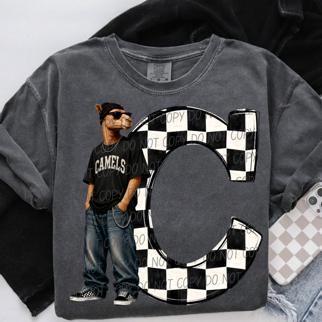Sideline Streetwear DTF Print
