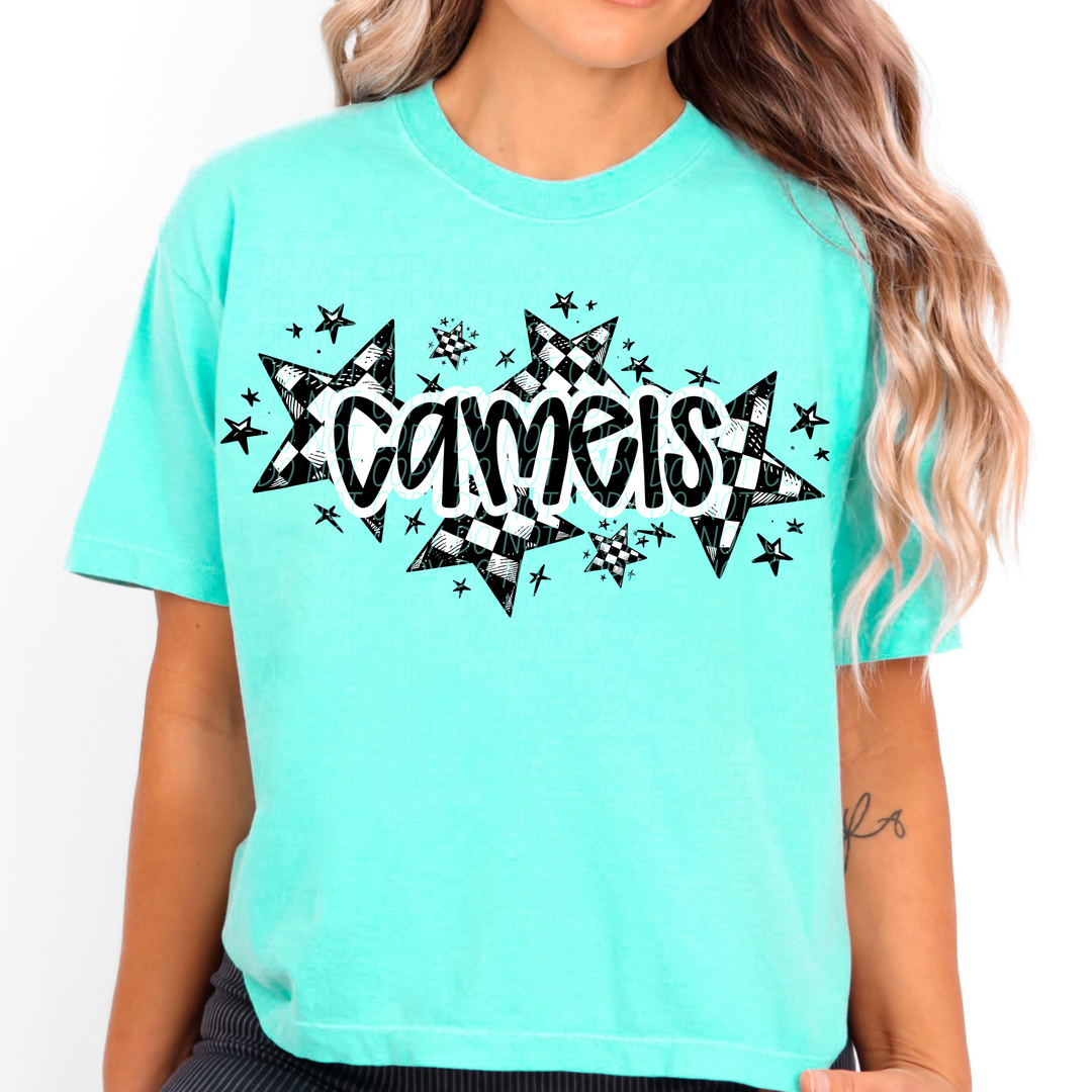 Checker Stars Mascots Youth DTF Print