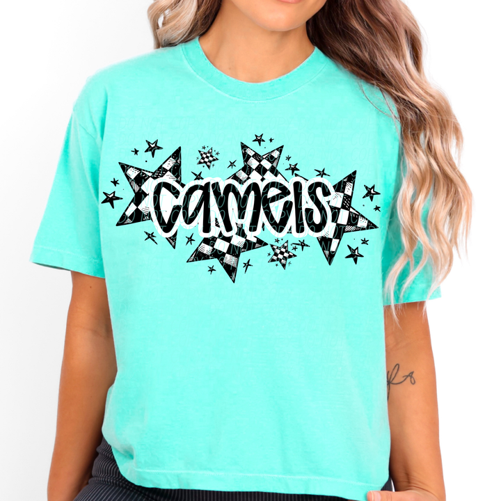 Checker Stars Mascots Youth DTF Print