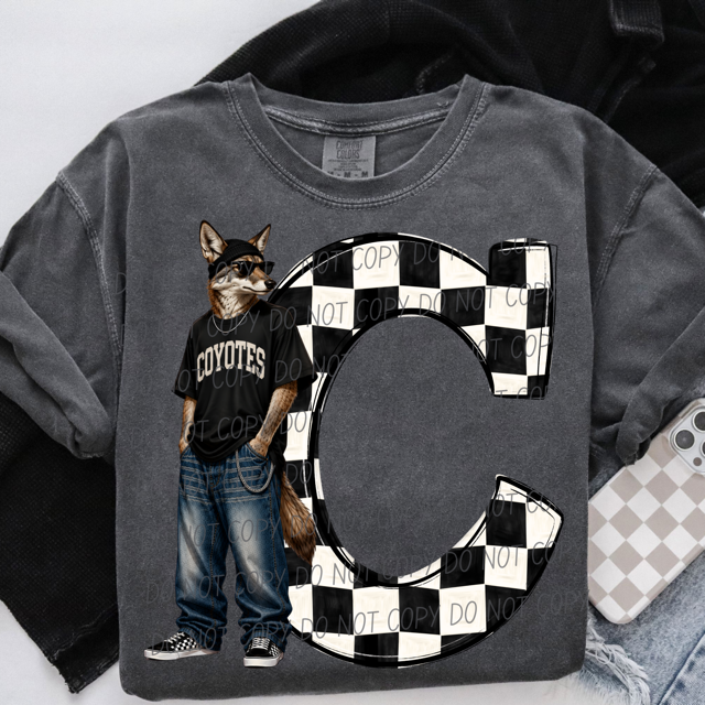 Sideline Streetwear DTF Print