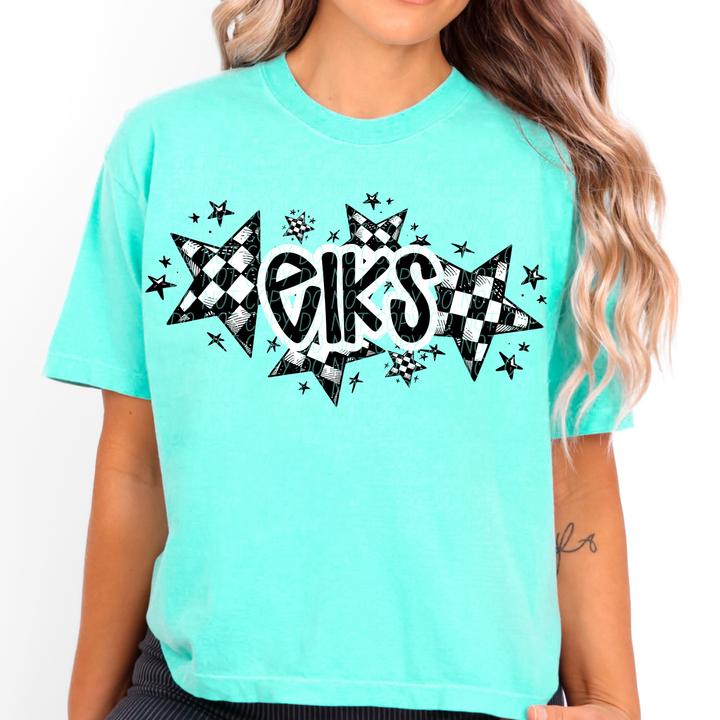 Checker Stars Mascots Youth DTF Print