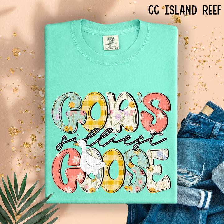 God’s Silliest Goose DTF Print