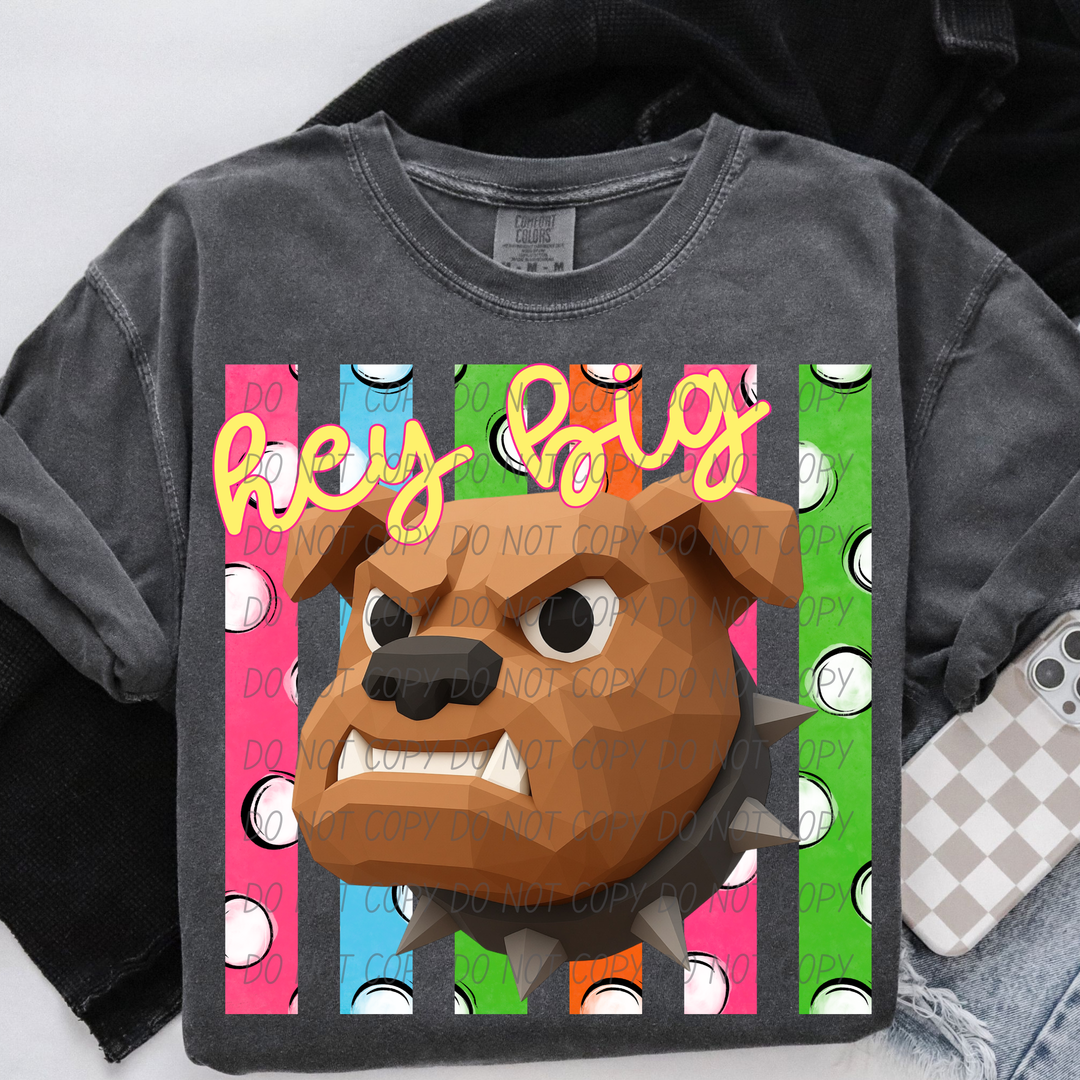 Hey Big Dog DTF Print