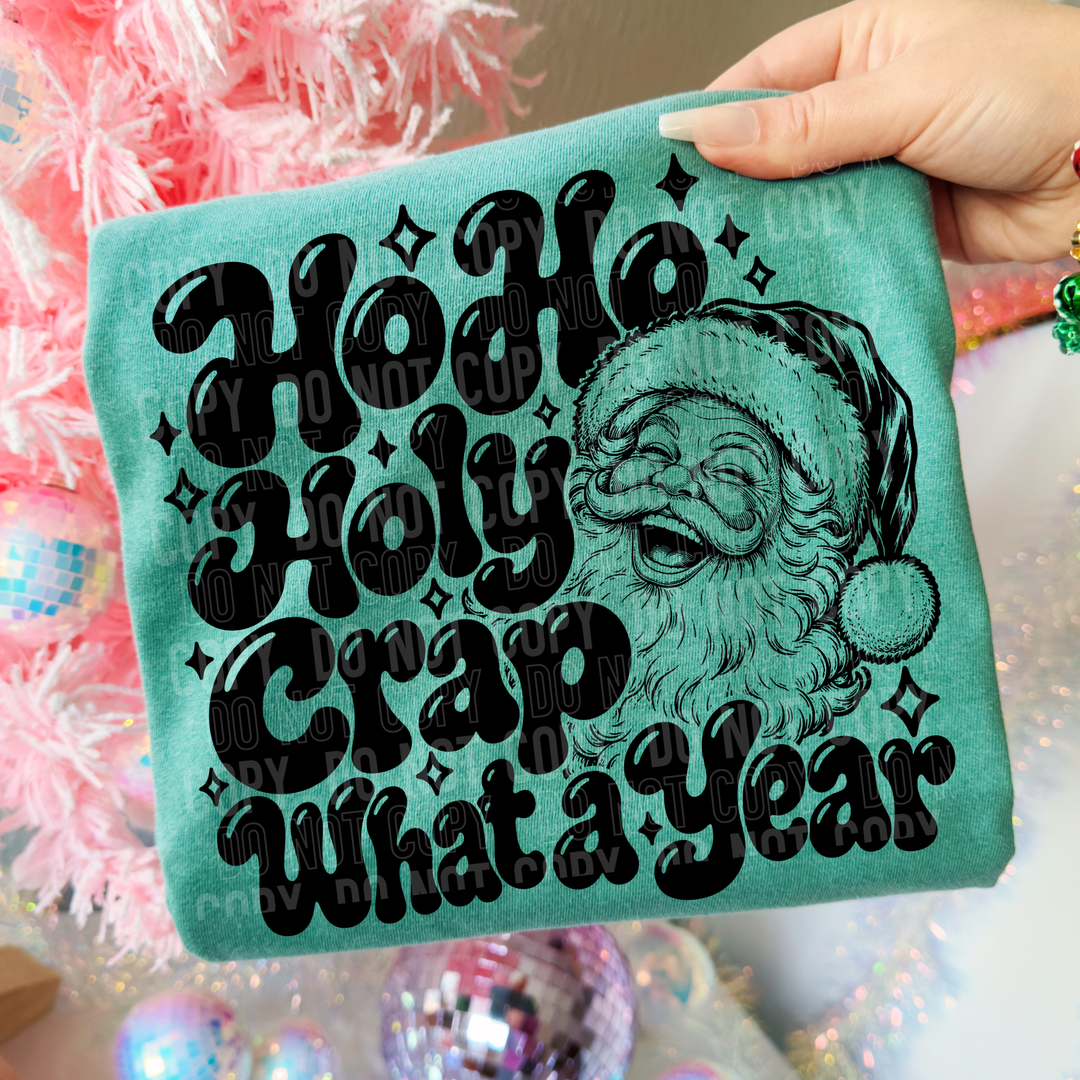 Ho Ho Holy Crap What A Year DTF Print